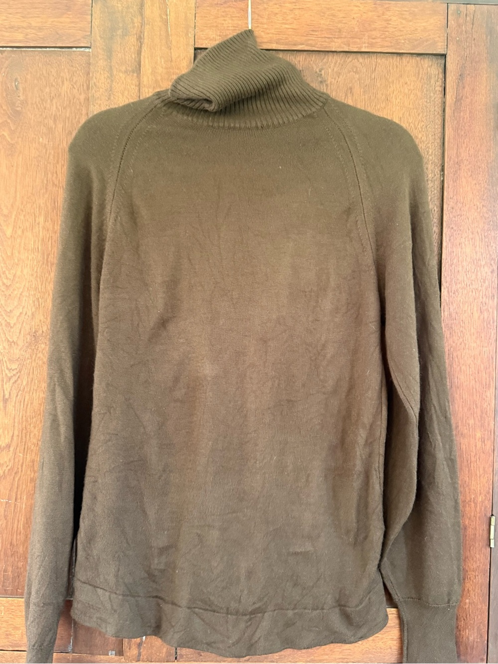 Men's Brown Turtleneck Sweater